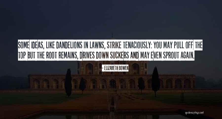 Lawns Quotes By Elizabeth Bowen