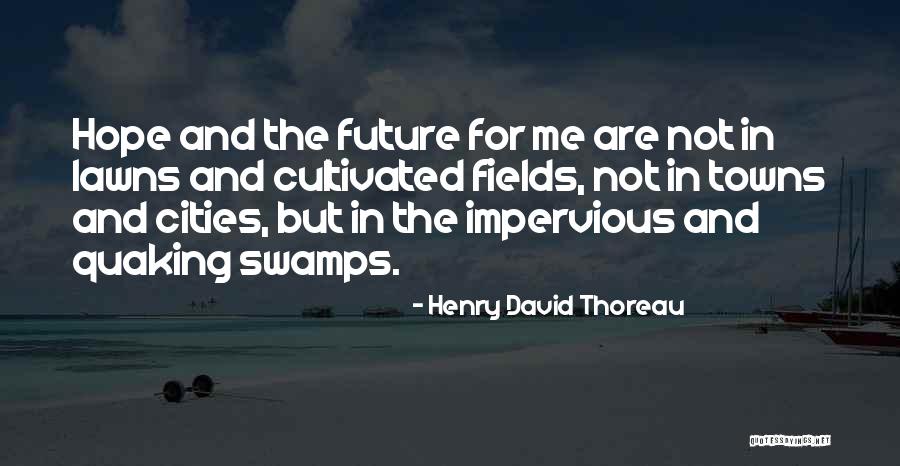 Lawns Quotes By Henry David Thoreau