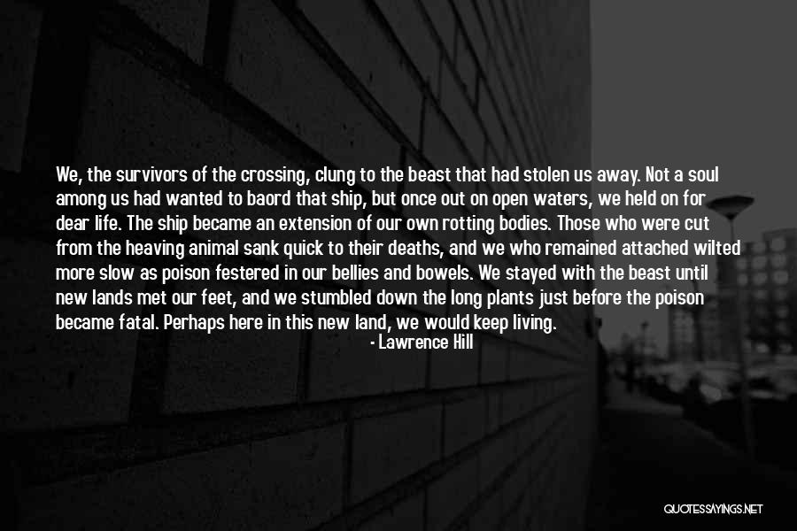 Lawrence Hill Quotes 356521 Lawrence Hill Quotes 356521
