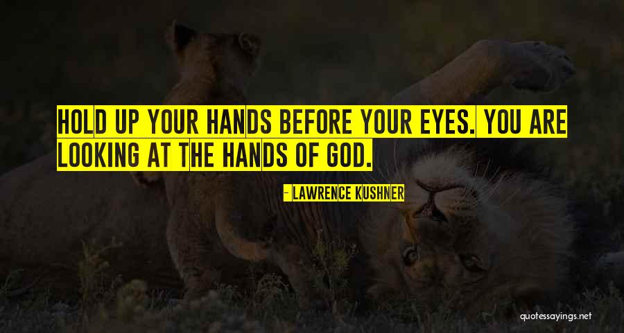 Lawrence Kushner Quotes 92087 Lawrence Kushner Quotes 92087