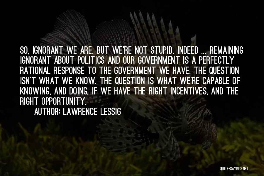 Lawrence Lessig Quotes 180866