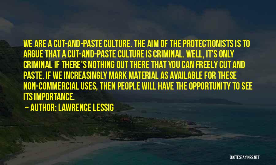 Lawrence Lessig Quotes 764157