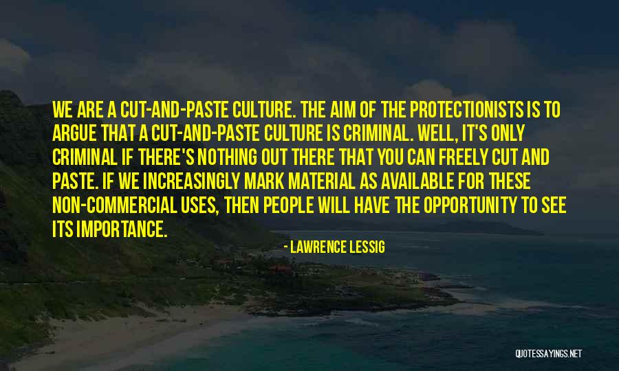 Lawrence Lessig Quotes 764157