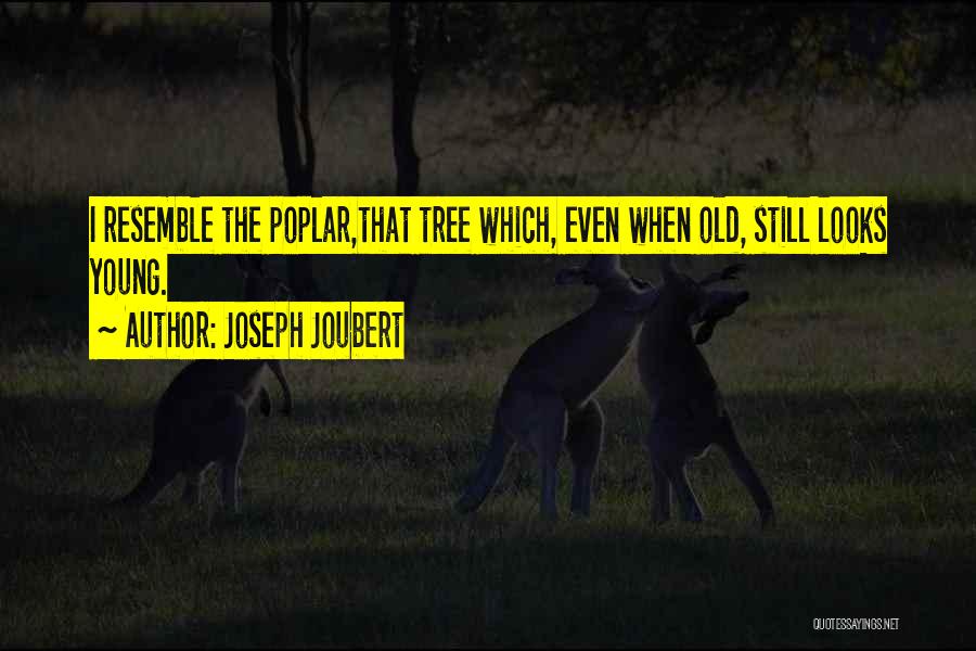 Lawrences Fort Quotes By Joseph Joubert