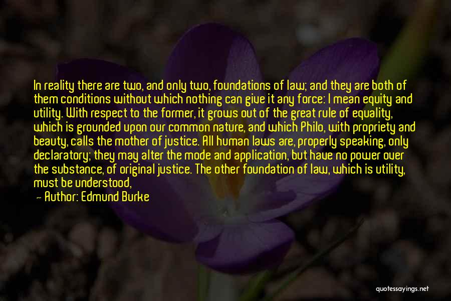 Laws And Justice Quotes By Edmund Burke