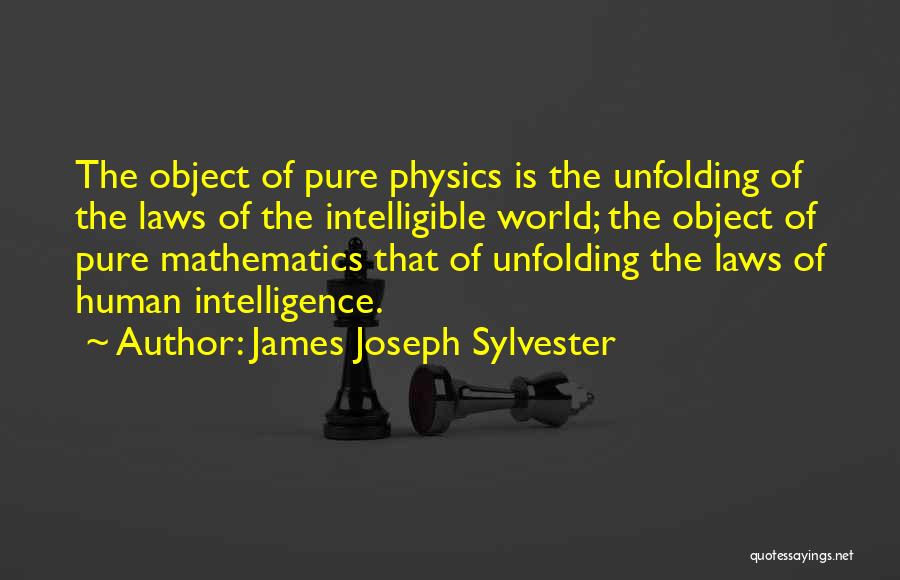Laws Of Physics Quotes By James Joseph Sylvester