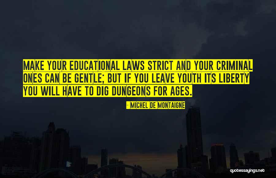 Laws They Should Make Quotes By Michel De Montaigne Laws They Should Make Quotes By Michel De Montaigne