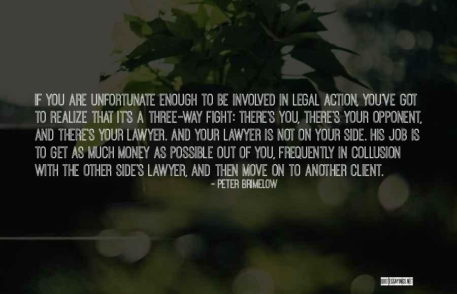 Lawsuit Attorneys Quotes By Peter Brimelow Lawsuit Attorneys Quotes By Peter Brimelow