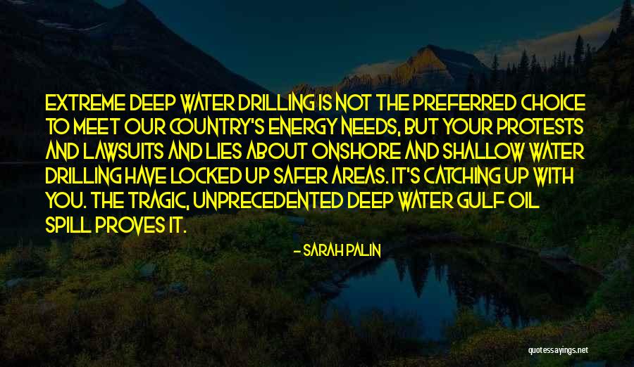 Lawsuits Quotes By Sarah Palin Lawsuits Quotes By Sarah Palin
