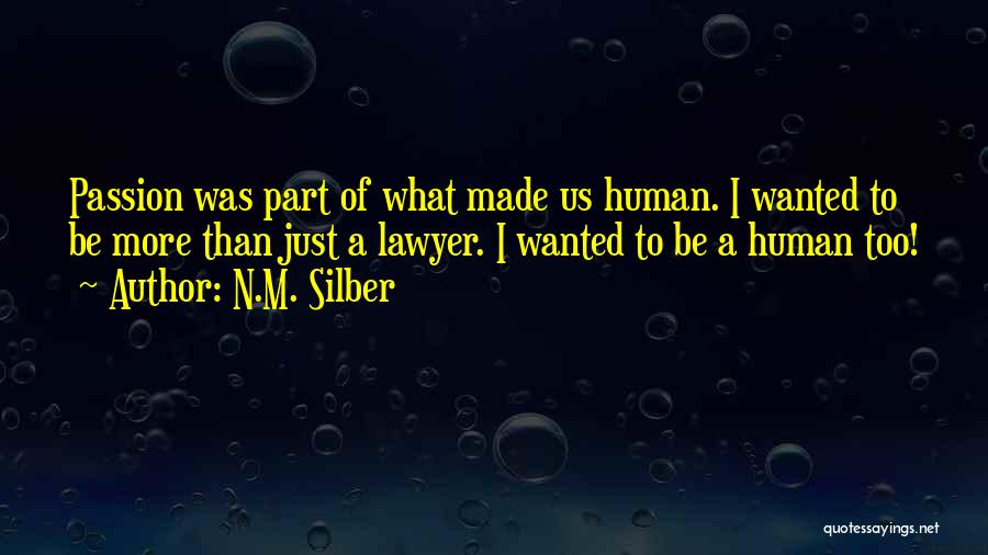 Lawyer Quotes By N.M. Silber