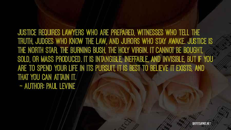 Lawyers And Judges Quotes By Paul Levine