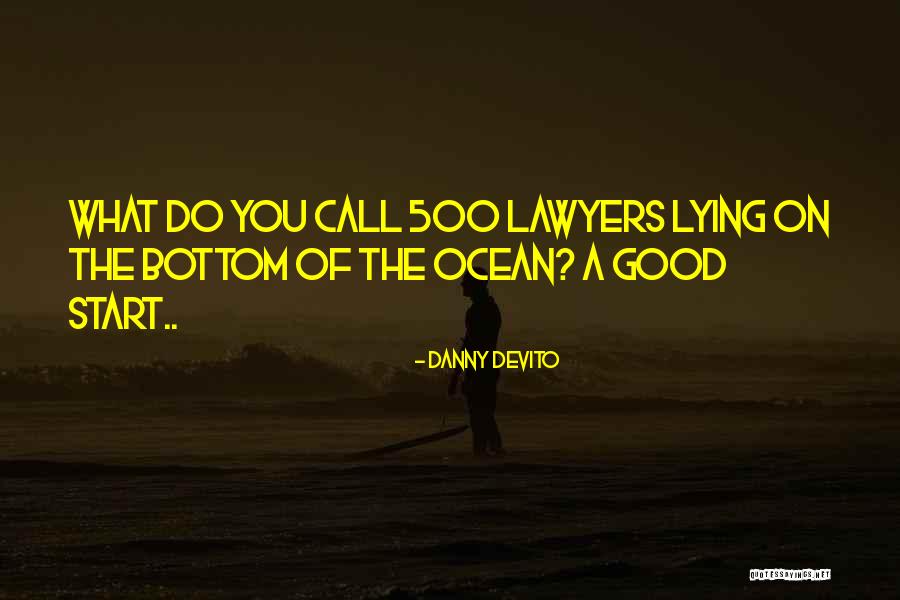 Lawyers Funny Quotes By Danny DeVito