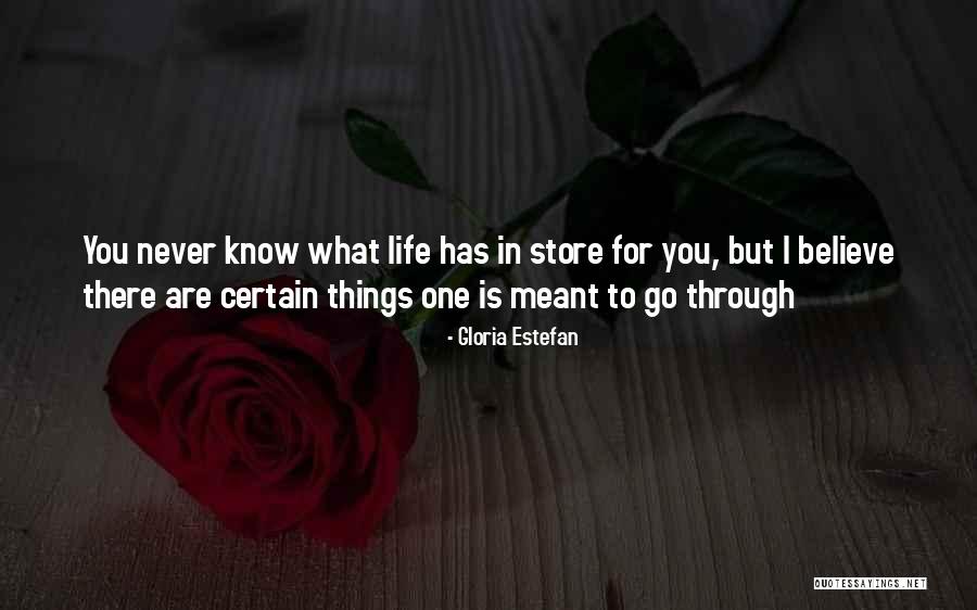 Laxisme Synonyme Quotes By Gloria Estefan Laxisme Synonyme Quotes By Gloria Estefan