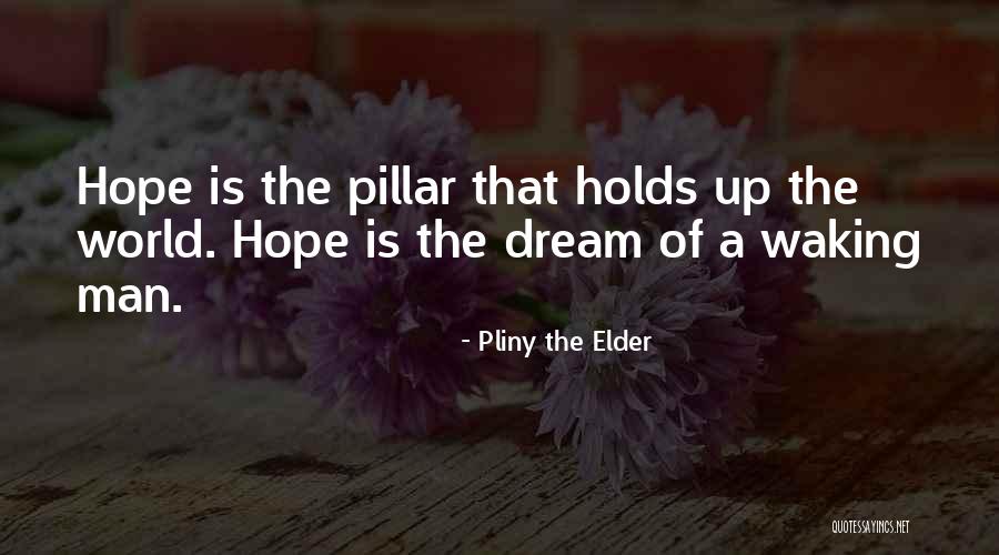 Laxminarayan Bhandarwar Quotes By Pliny The Elder Laxminarayan Bhandarwar Quotes By Pliny The Elder