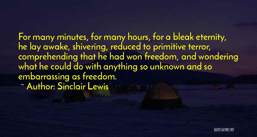 Lay Awake Quotes By Sinclair Lewis