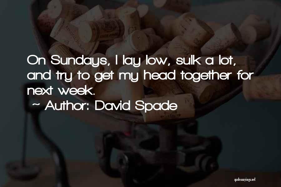 Lay Low Quotes By David Spade