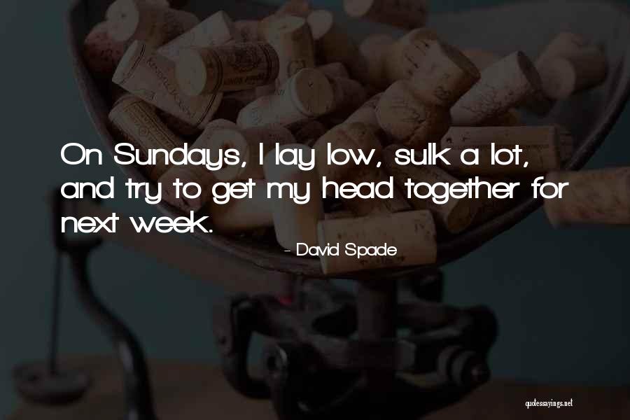 Lay Low Quotes By David Spade