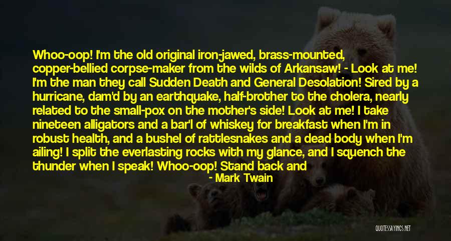 Lay Low Quotes By Mark Twain