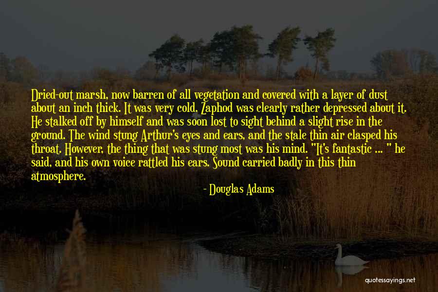 Layer By Layer Quotes By Douglas Adams