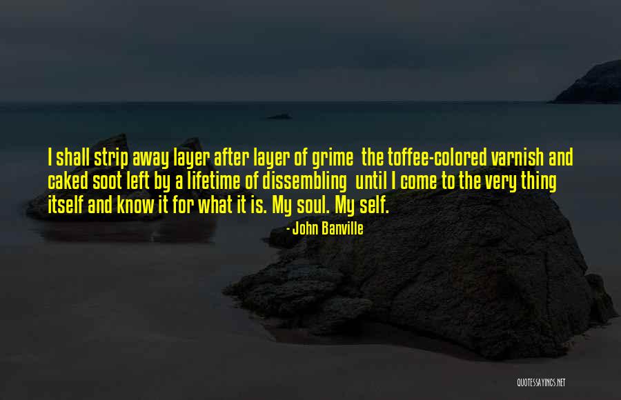 Layer By Layer Quotes By John Banville