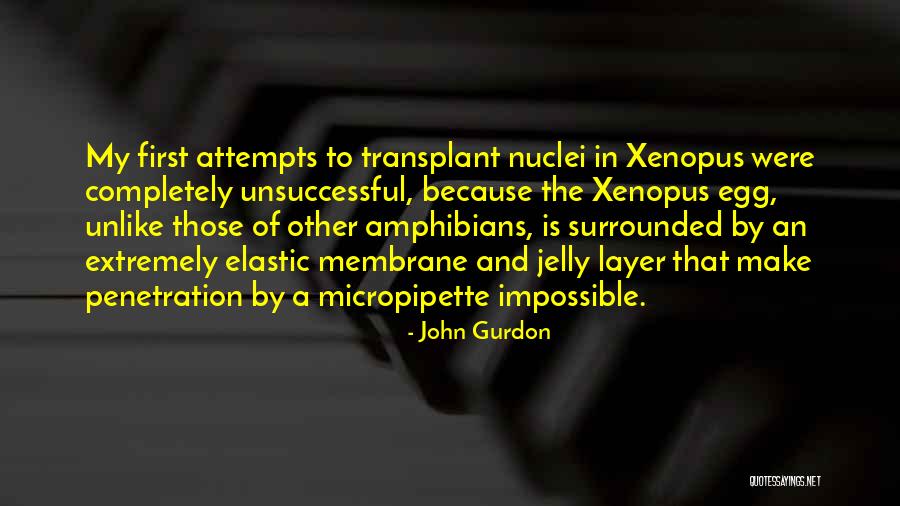 Layer By Layer Quotes By John Gurdon