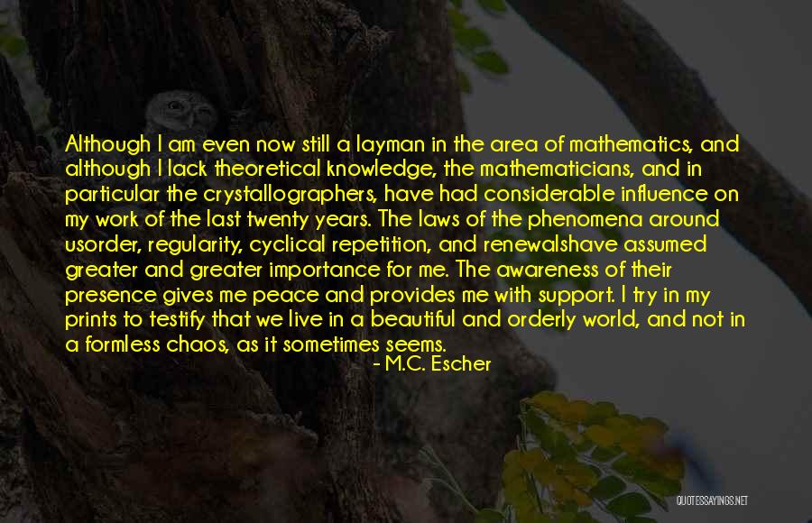 Layman Quotes By M.C. Escher Layman Quotes By M.C. Escher