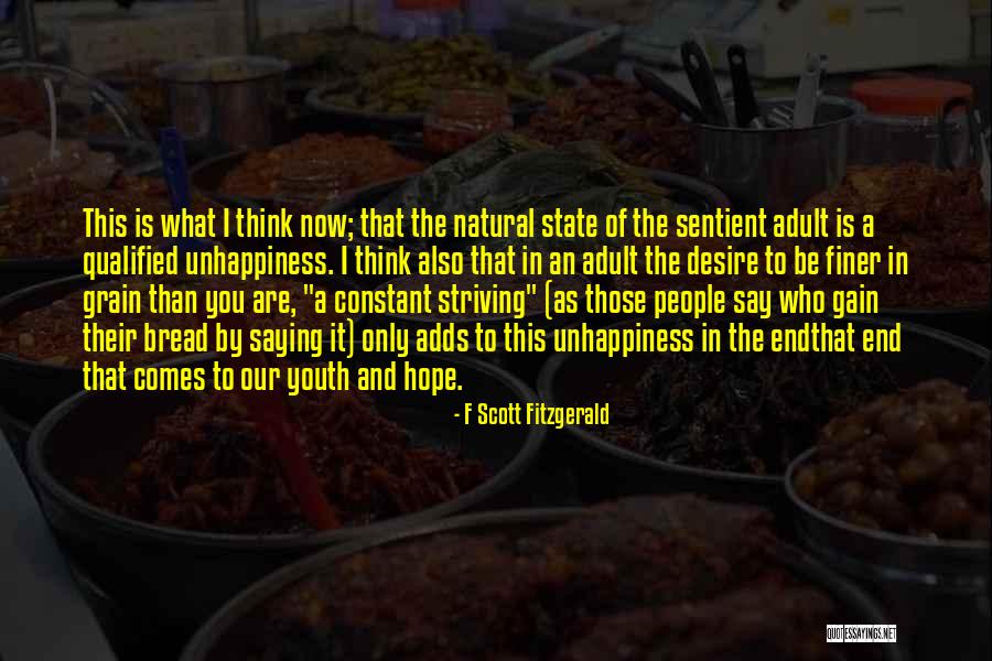 Laymens Quotes By F Scott Fitzgerald Laymens Quotes By F Scott Fitzgerald