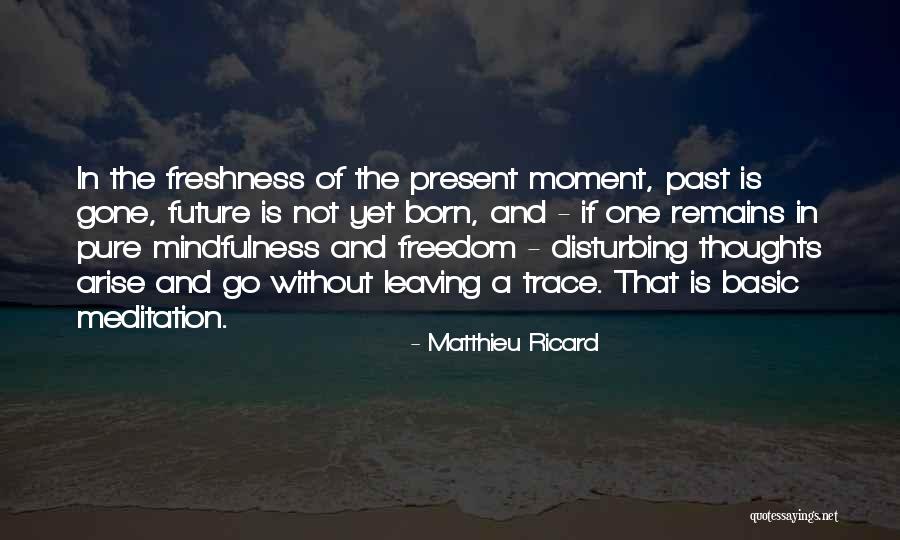 Laythen Quotes By Matthieu Ricard Laythen Quotes By Matthieu Ricard