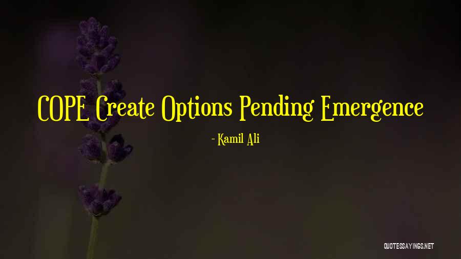 Layus Pau Quotes By Kamil Ali Layus Pau Quotes By Kamil Ali