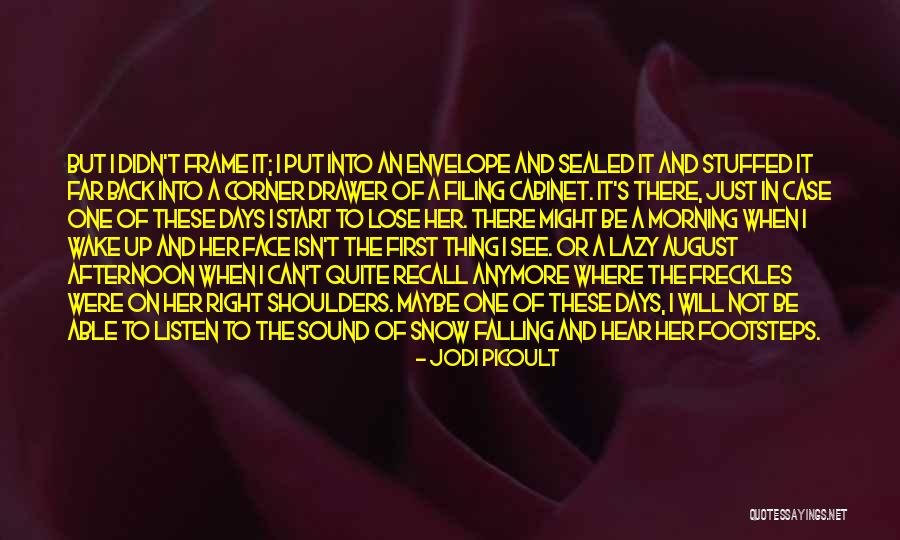 Lazy Days Quotes By Jodi Picoult Lazy Days Quotes By Jodi Picoult