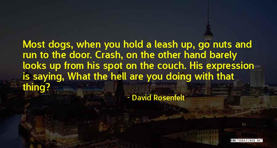 Lazy Dog Quotes By David Rosenfelt Lazy Dog Quotes By David Rosenfelt