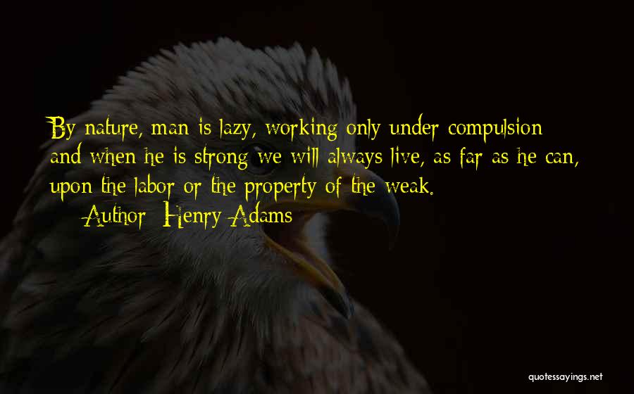 Lazy Man's Quotes By Henry Adams