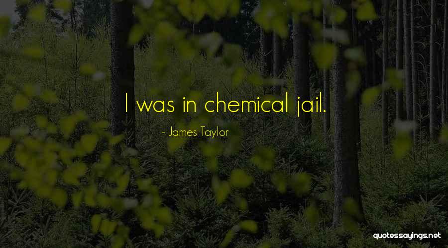 Lazy Sunday Quotes By James Taylor