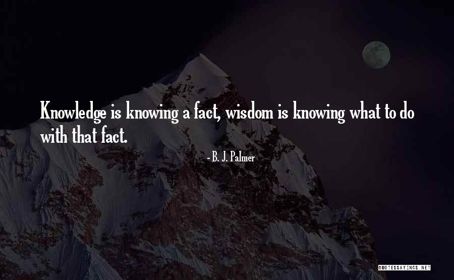 Lazzaretto Verona Quotes By B. J. Palmer Lazzaretto Verona Quotes By B. J. Palmer