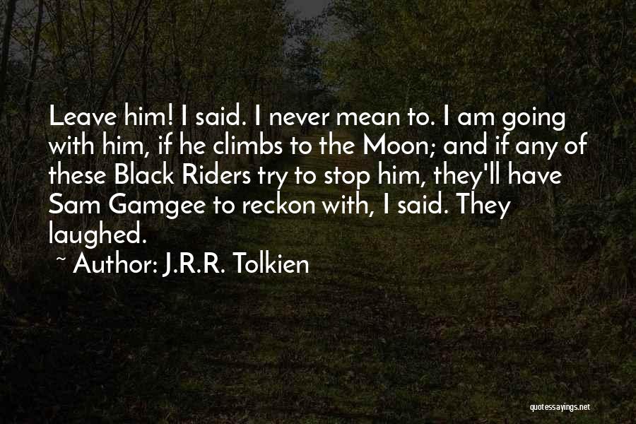 Lazzarino Potential Harms Quotes By J.R.R. Tolkien
