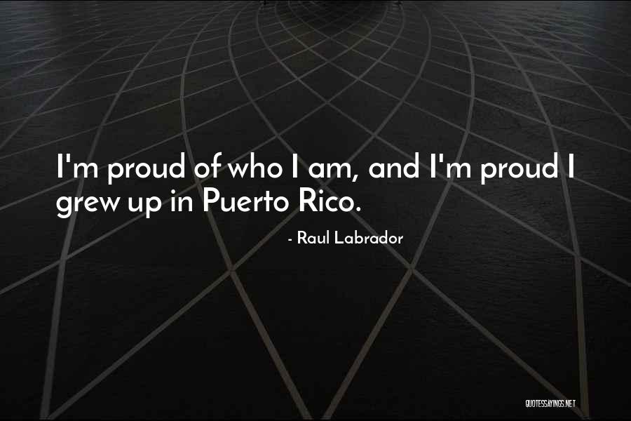 Le Corbier Snow Quotes By Raul Labrador Le Corbier Snow Quotes By Raul Labrador