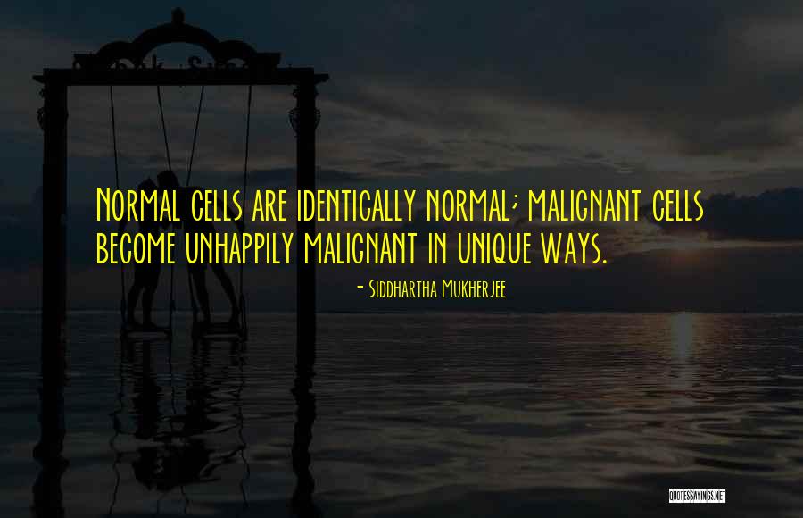 Le Rosey Summer Quotes By Siddhartha Mukherjee Le Rosey Summer Quotes By Siddhartha Mukherjee