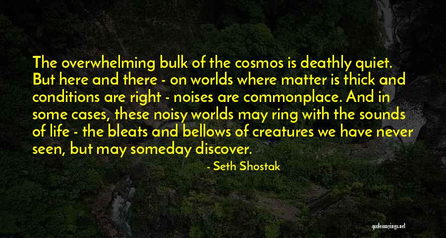Le Sourire Dun Bebe Quotes By Seth Shostak Le Sourire Dun Bebe Quotes By Seth Shostak