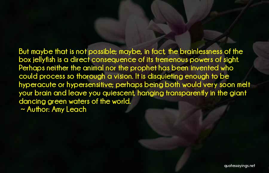 Leach Quotes By Amy Leach