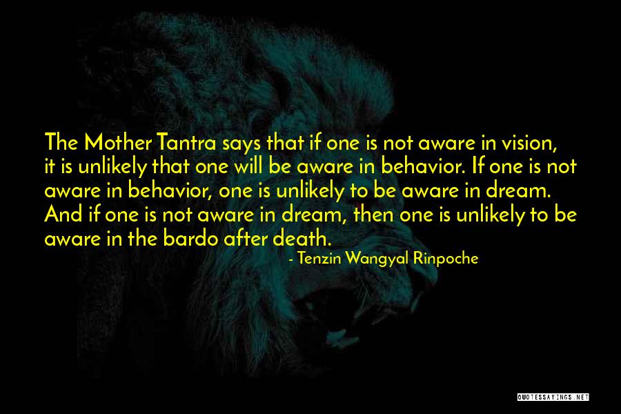 Leached Soul Quotes By Tenzin Wangyal Rinpoche Leached Soul Quotes By Tenzin Wangyal Rinpoche
