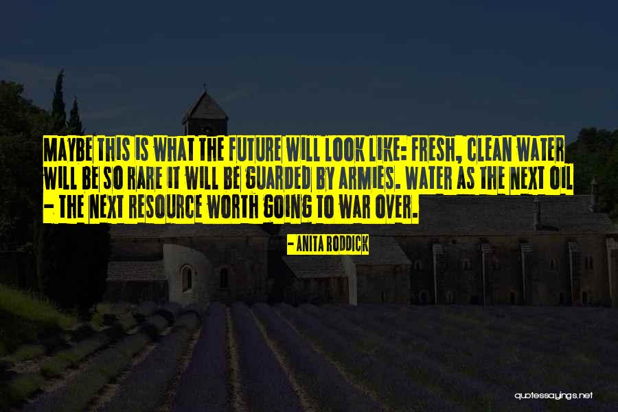 Leacock Township Quotes By Anita Roddick Leacock Township Quotes By Anita Roddick