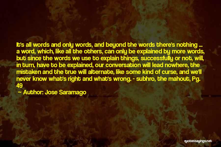 Lead In Words To Quotes By Jose Saramago