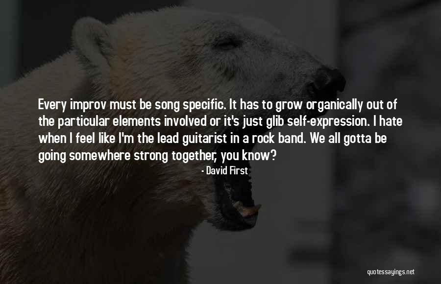 Lead Rock Quotes By David First Lead Rock Quotes By David First