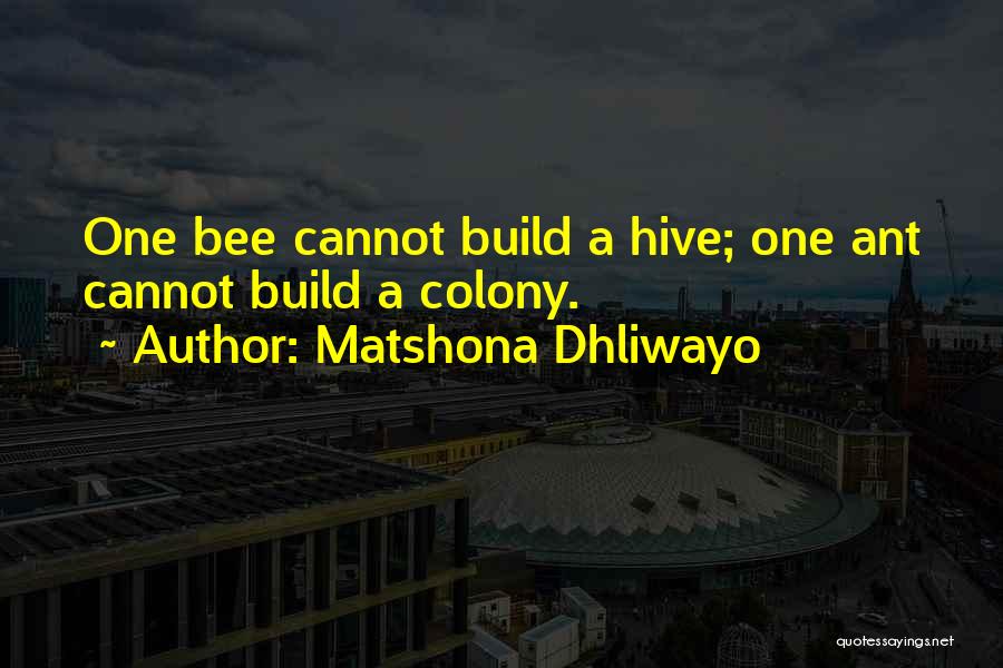 Leader And Teamwork Quotes By Matshona Dhliwayo
