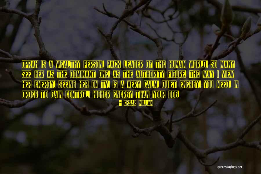 Leader Of The Pack Quotes By Cesar Millan Leader Of The Pack Quotes By Cesar Millan