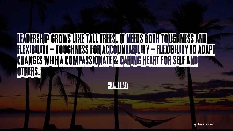 Leadership Accountability Quotes By Amit Ray Leadership Accountability Quotes By Amit Ray