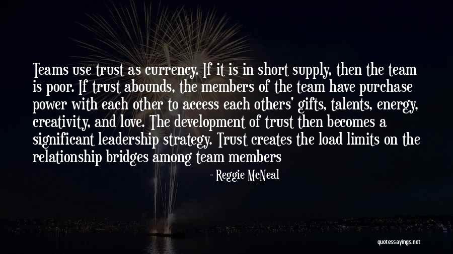 Leadership As A Team Quotes By Reggie McNeal