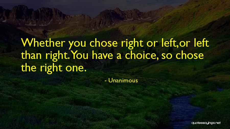 Leadership By Influencers Quotes By Unanimous Leadership By Influencers Quotes By Unanimous