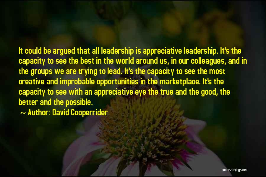 Leadership Capacity Quotes By David Cooperrider