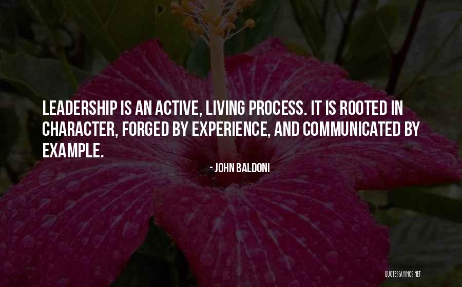 Leadership Character Quotes By John Baldoni